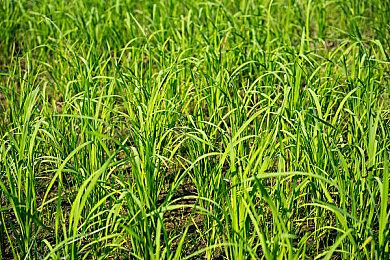 销量太疲软 第三方厂商开始不想支持Xbox主机