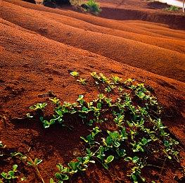 系列首款VR游戏《刺客信条：Nexus VR》正式公布