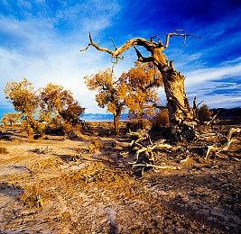 343曾考虑开发《光环：无限》VR游戏 但最终放弃